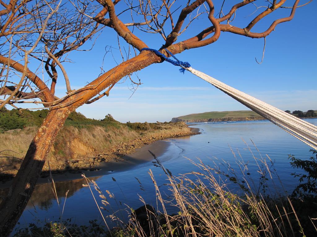 Catlins Newhaven Holiday Park Owaka Δωμάτιο φωτογραφία