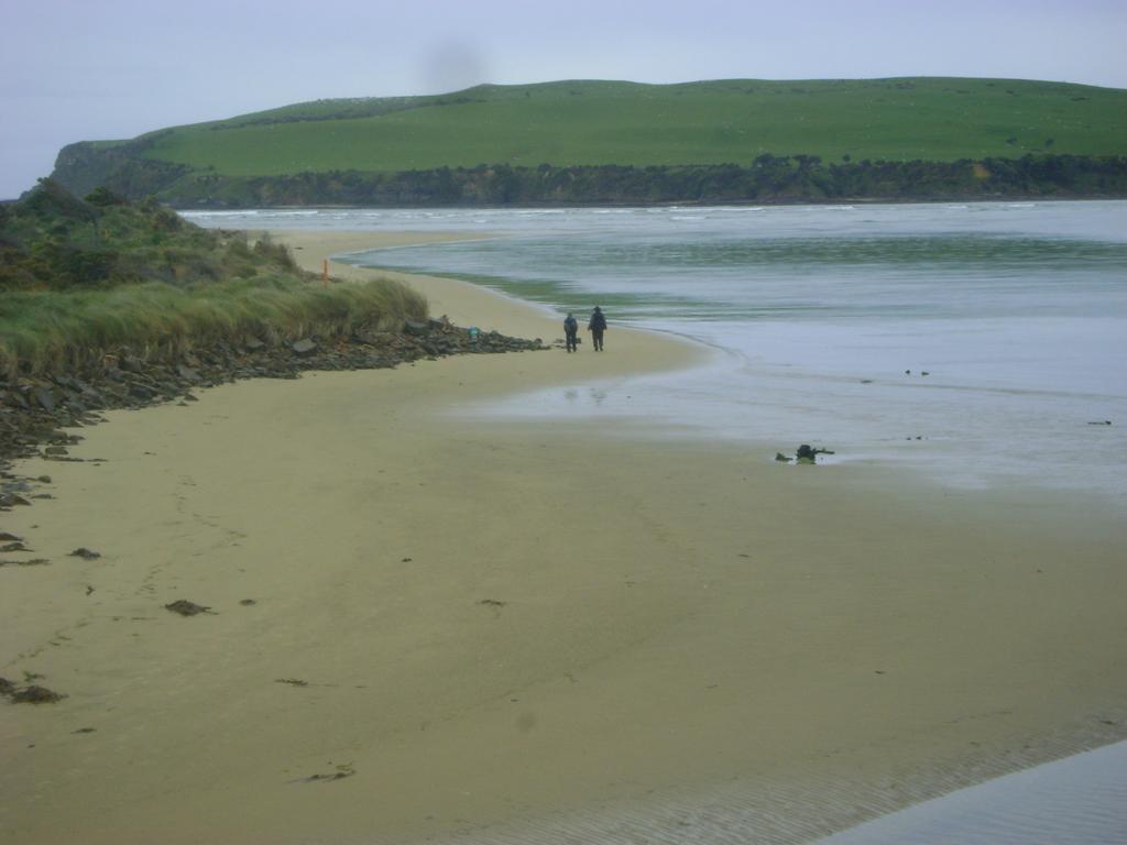 Catlins Newhaven Holiday Park Owaka Εξωτερικό φωτογραφία