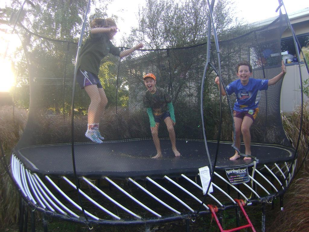 Catlins Newhaven Holiday Park Owaka Εξωτερικό φωτογραφία