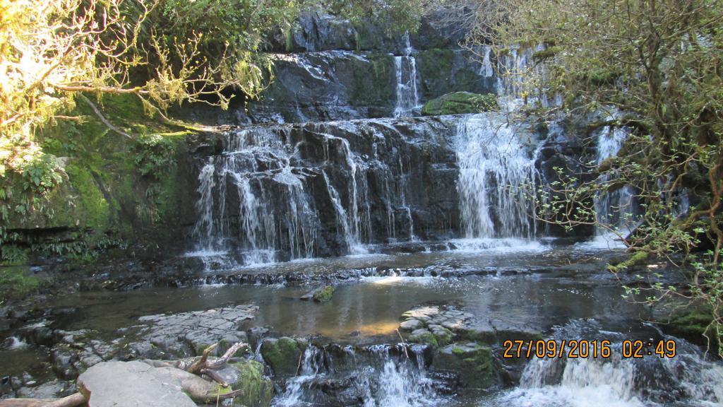 Catlins Newhaven Holiday Park Owaka Εξωτερικό φωτογραφία