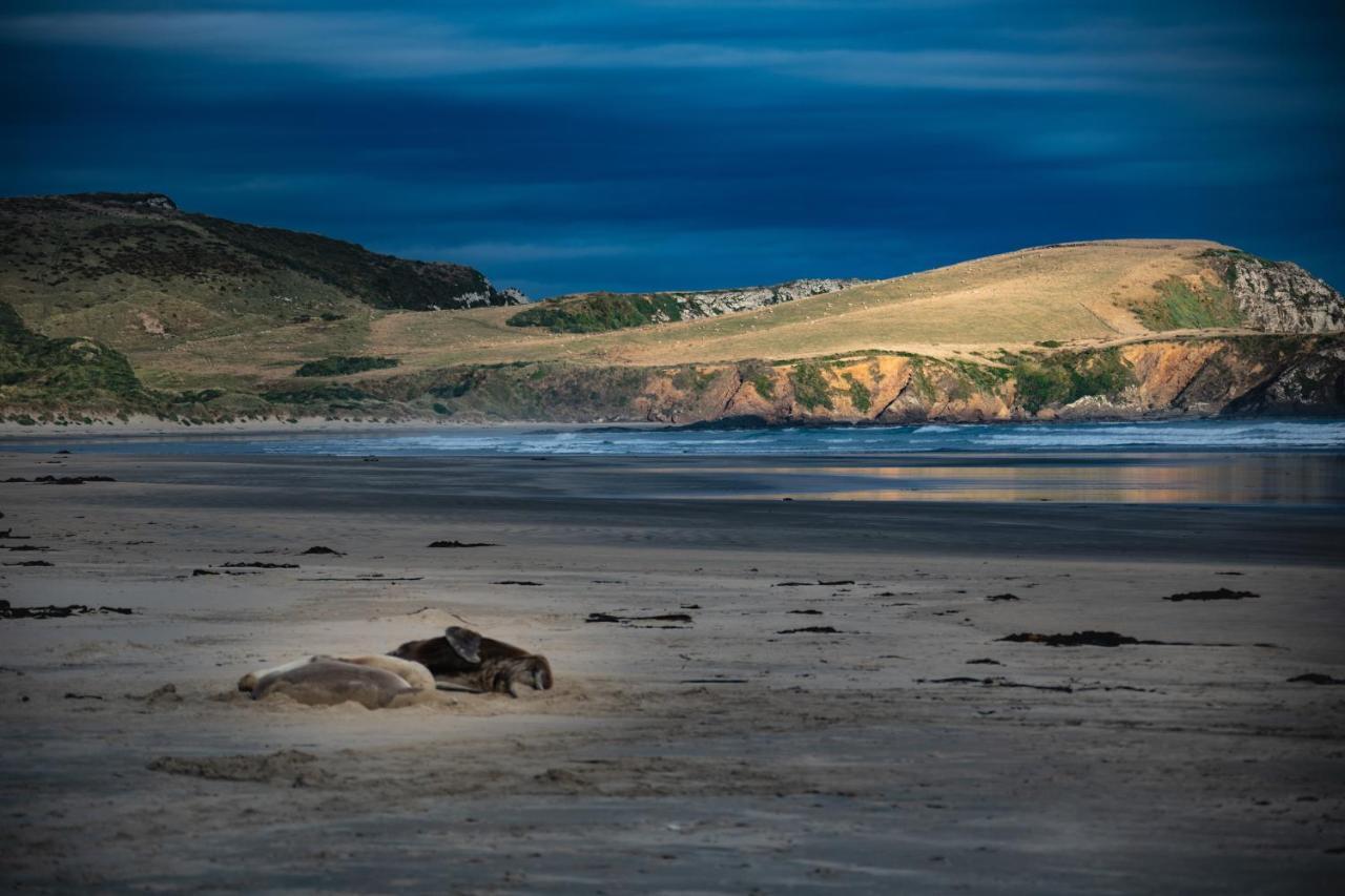 Catlins Newhaven Holiday Park Owaka Εξωτερικό φωτογραφία